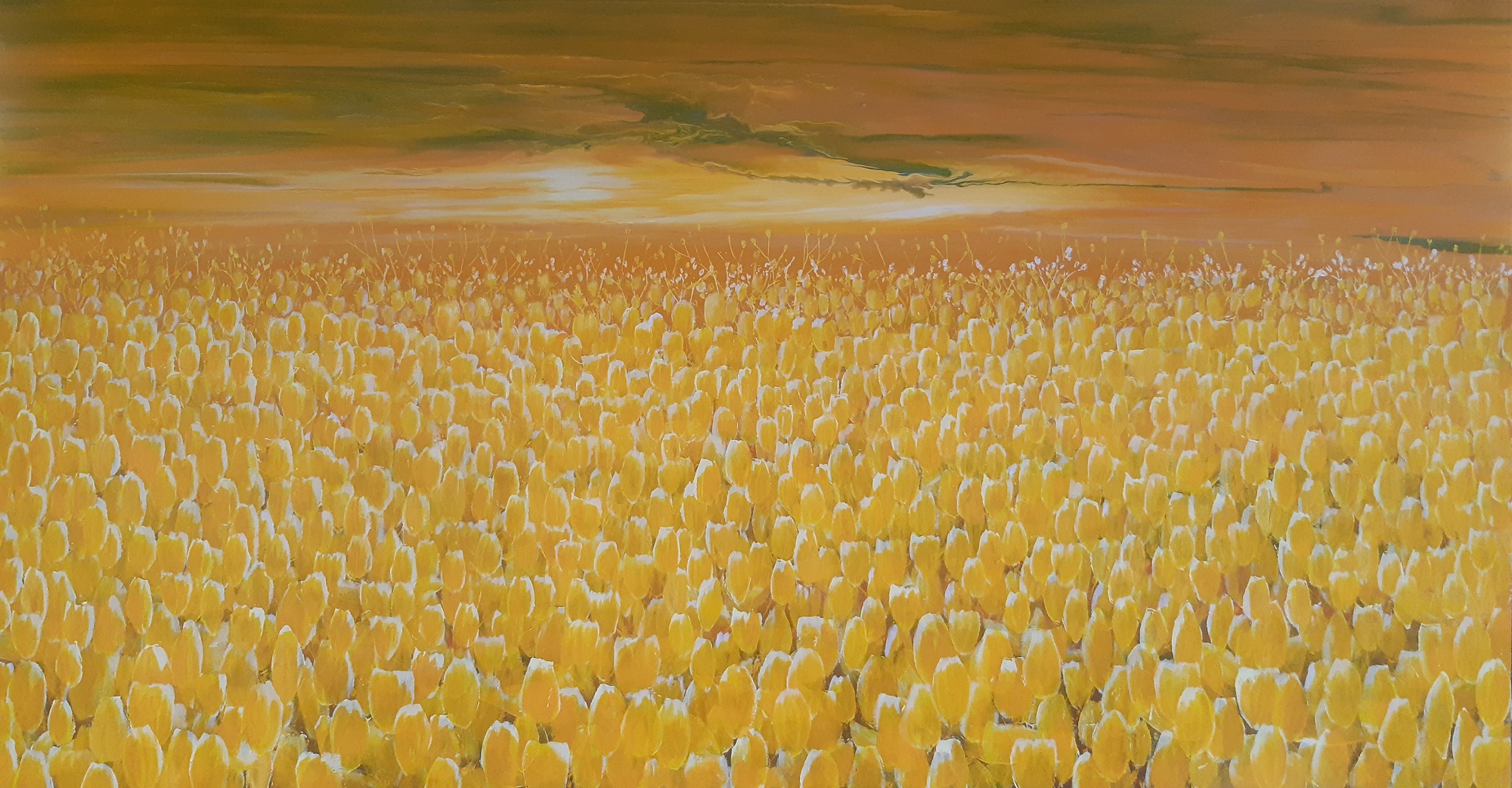 Golden tulips